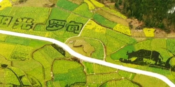 土地的涅槃｜全域土地綜合整治為何爆火？設(shè)計院如何搶占風(fēng)口？